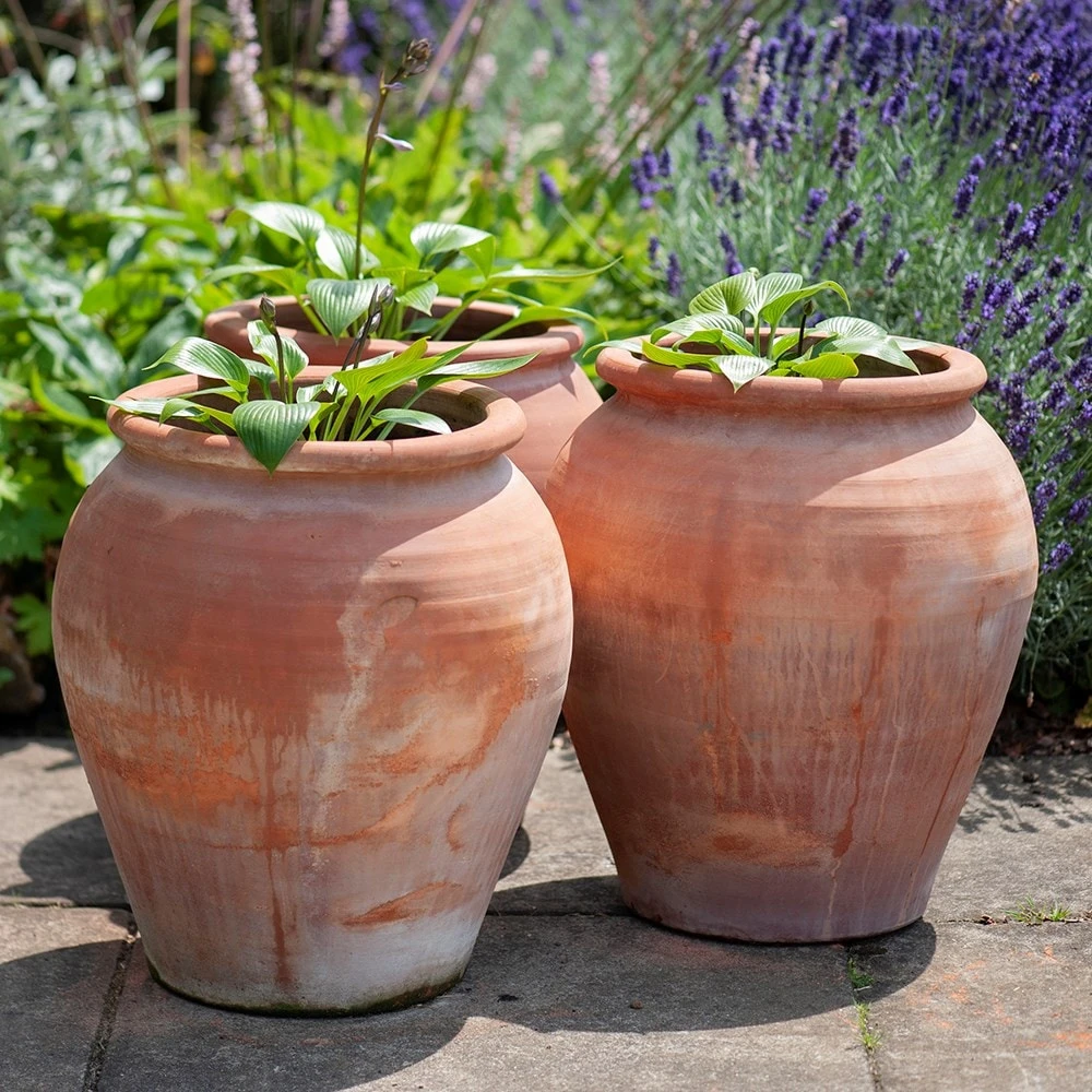 Terracotta Tulip Pot - Image 10
