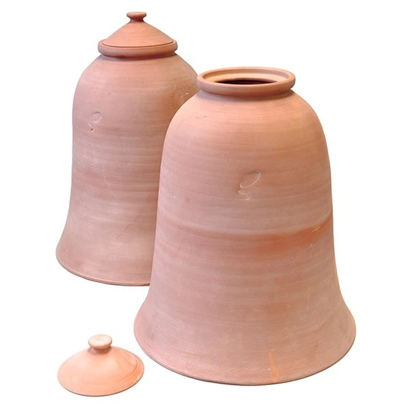 Terracotta Rhubarb Forcer - Image 3