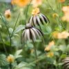 Echinacea Plant Stake - Antique Bronze