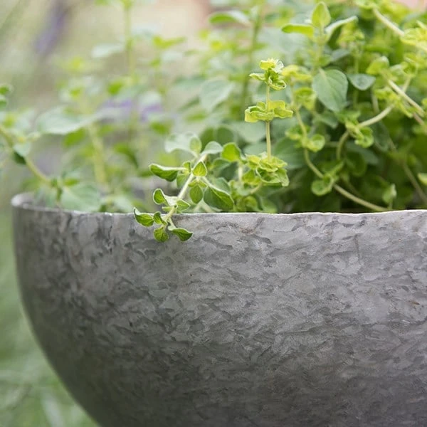 Sphere Planter With Stand - Image 4