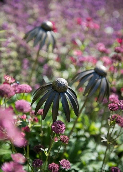Echinacea Plant Stake - Antique Pewter - Image 2