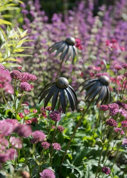 Echinacea Plant Stake - Antique Pewter - Image 3
