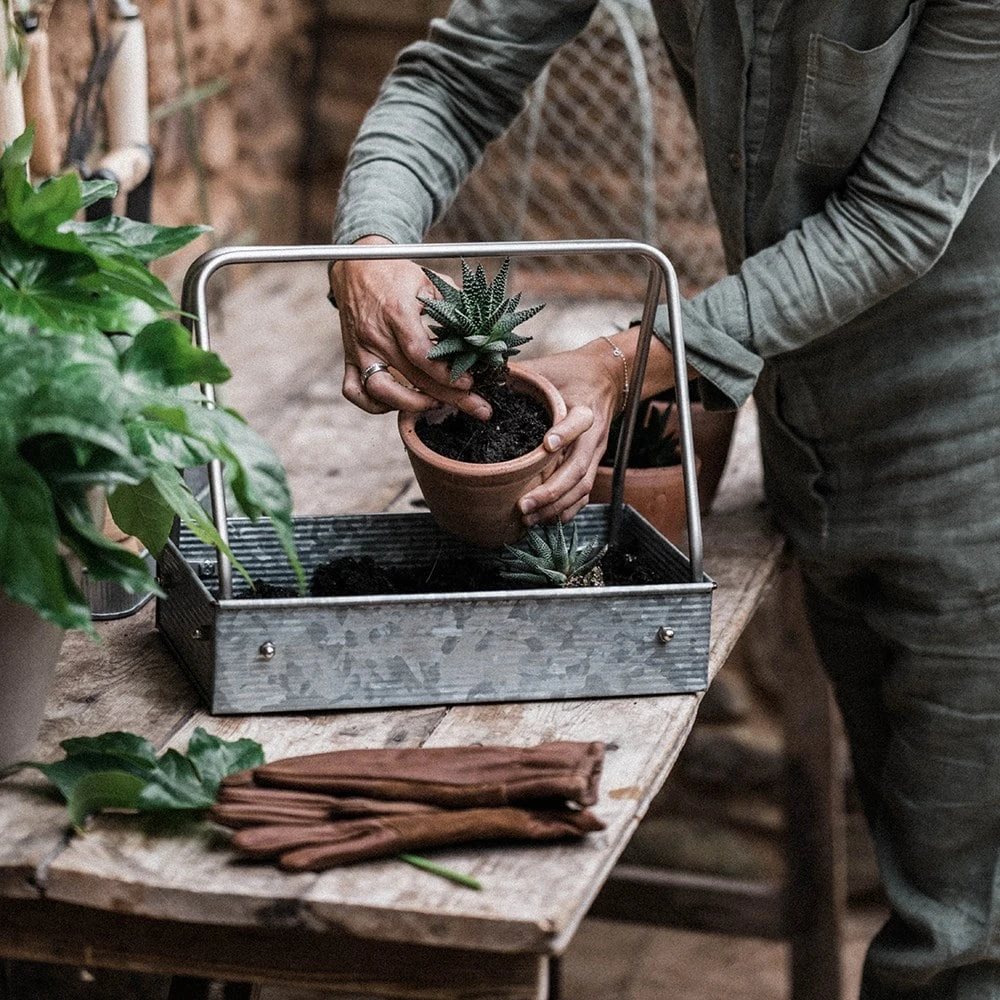 Planting Tray / Trug - Image 2