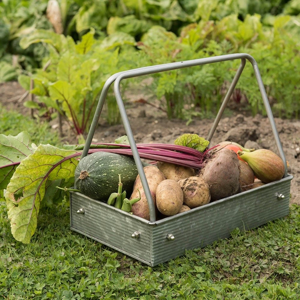 Planting Tray / Trug - Image 3