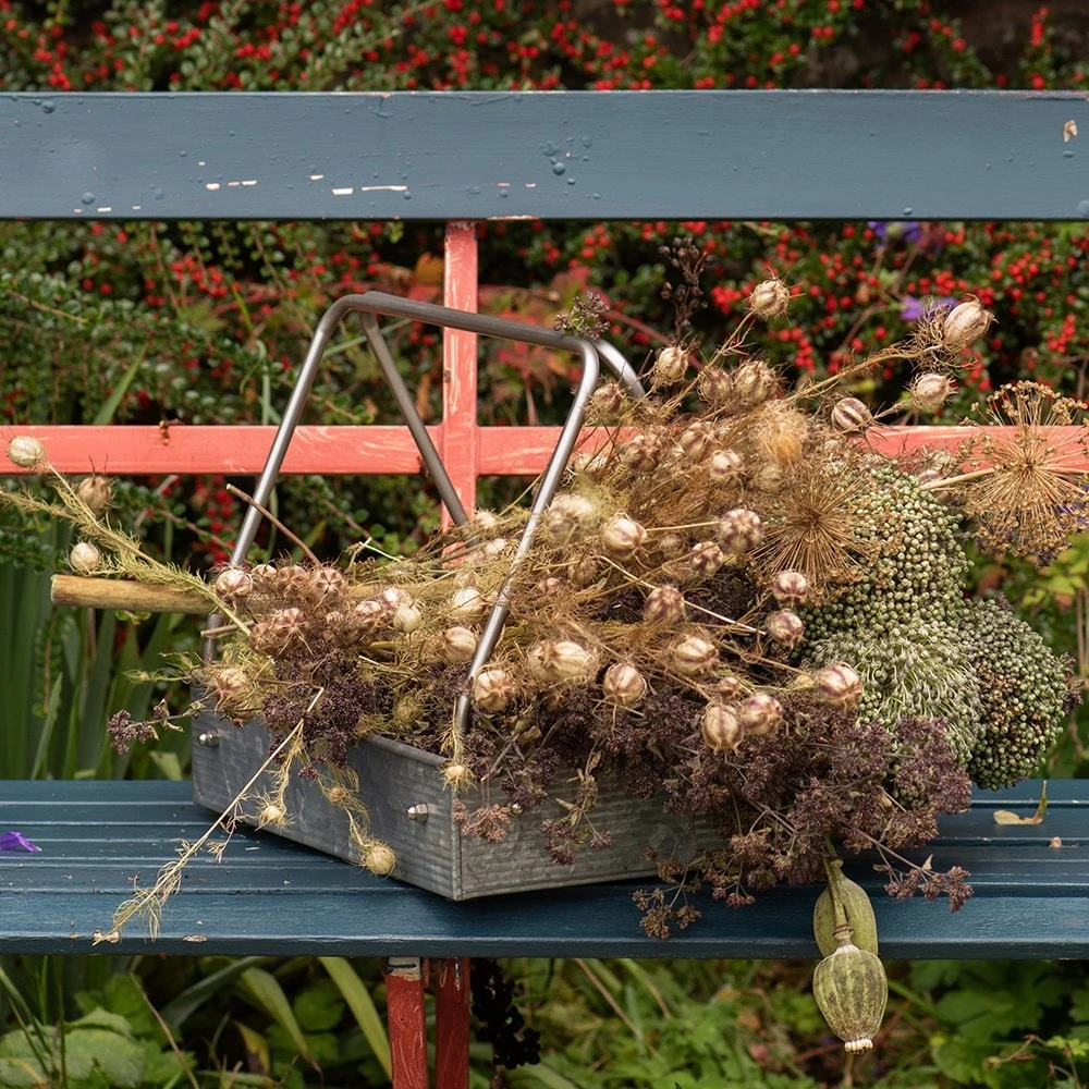 Planting Tray / Trug - Image 4