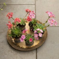 Brass Tray
