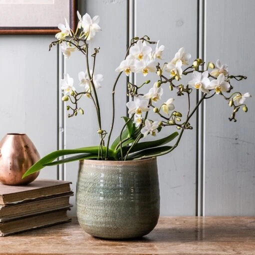 Crackle Glaze Plant Pot - Mint
