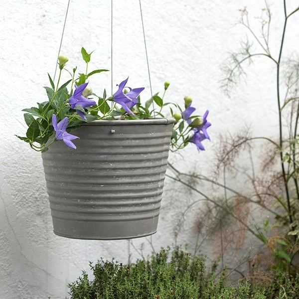 Hanging Aged Ribbed Planter - Image 8