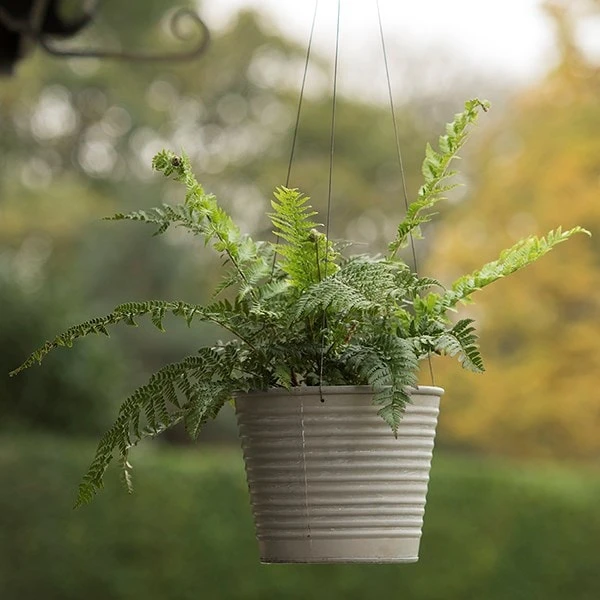 Hanging Aged Ribbed Planter - Image 5