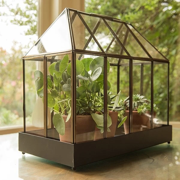 House Terrarium - Image 2