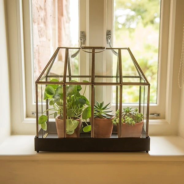 House Terrarium - Image 3