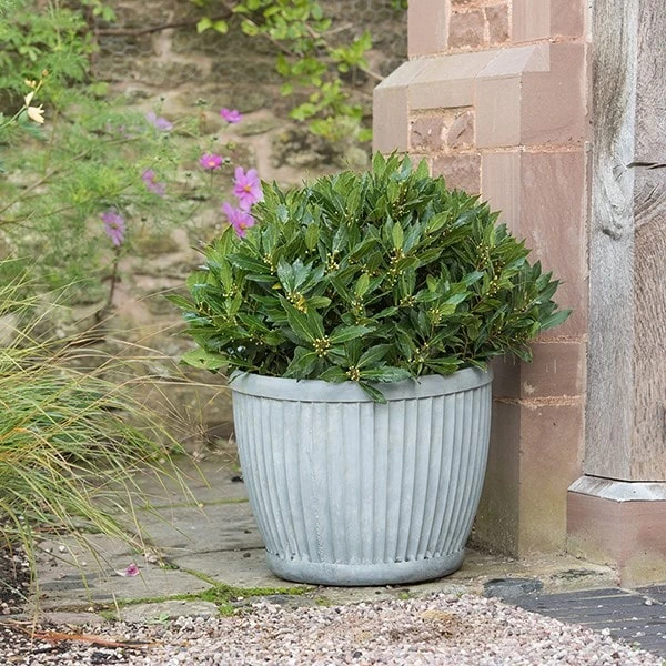 Zinc Dolly Pot - Image 2