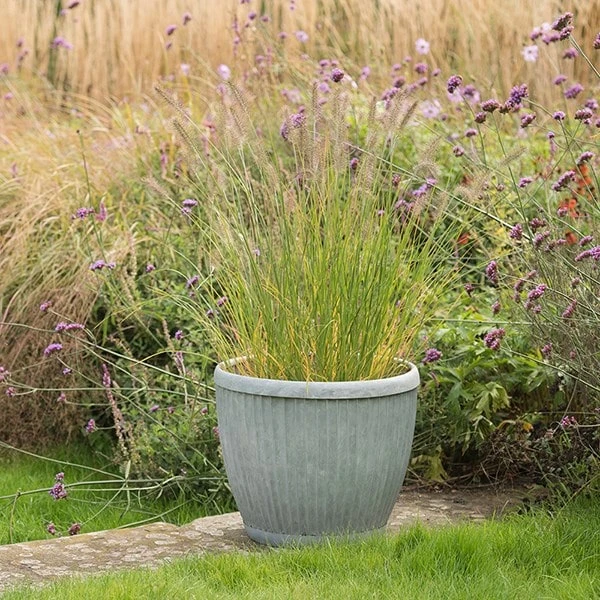 Zinc Dolly Pot - Image 3