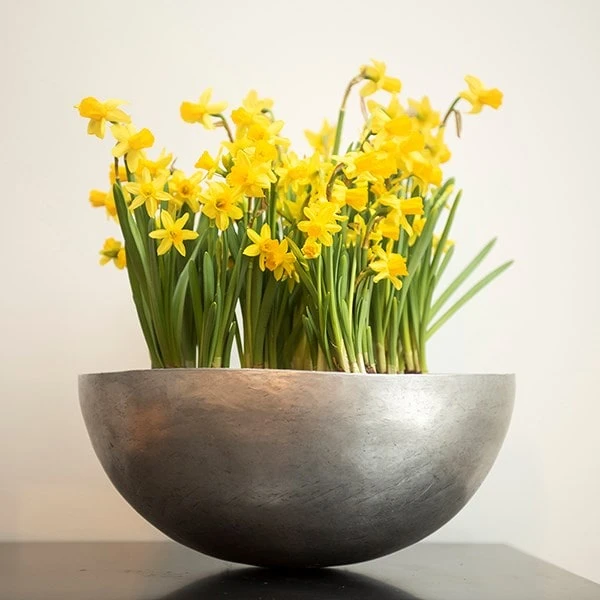 Sphere Plant Bowl - Image 6