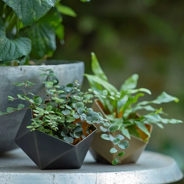 Geo Tealight Holder - Image 10