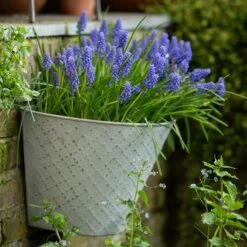 Aged Embossed Wall Planter - Aged Zinc