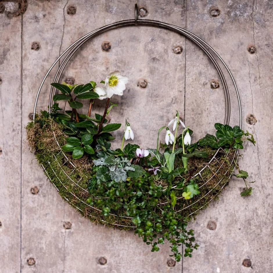 Hanging Wreath Basket