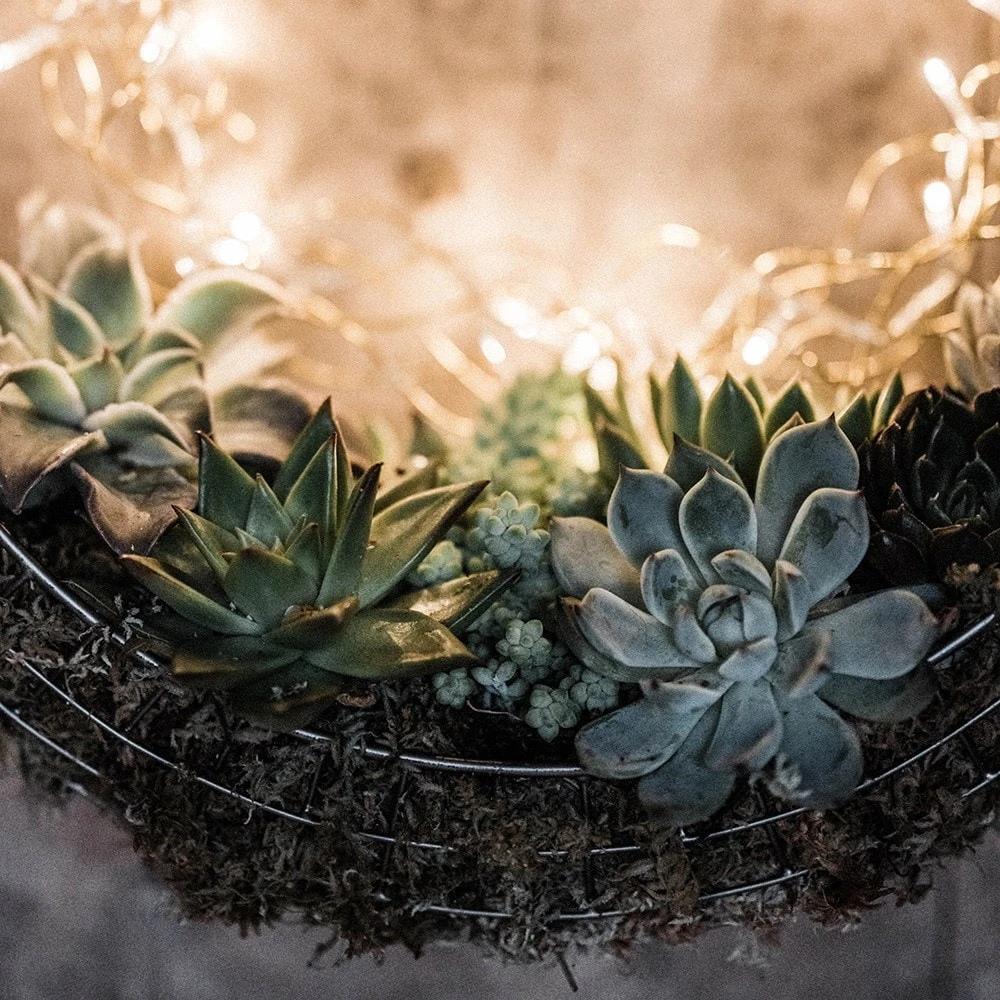 Hanging Wreath Basket - Image 3