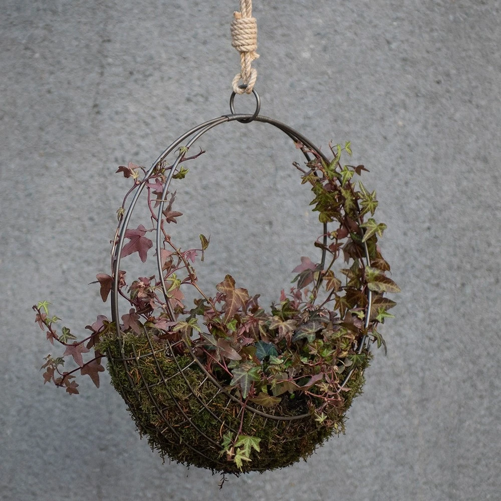 Hanging Wreath Basket - Image 8