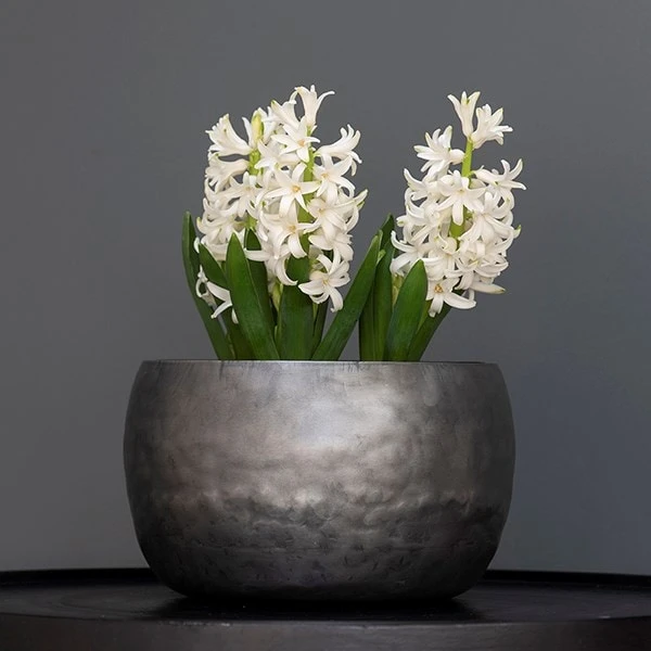 Zinc Bowls - Set Of 3 - Image 3