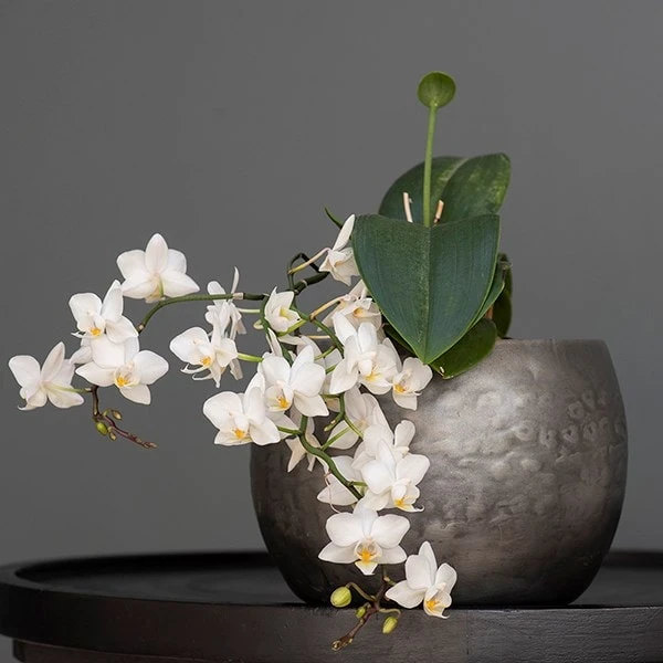 Zinc Bowls - Set Of 3 - Image 4