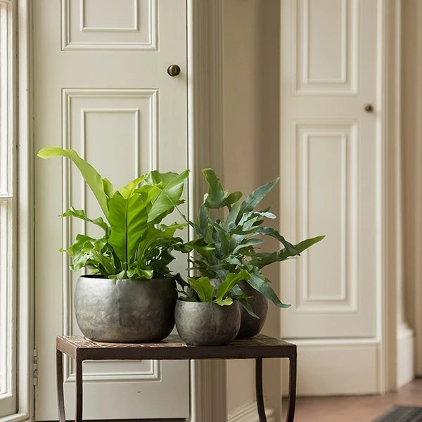 Zinc Bowls - Set Of 3 - Image 6