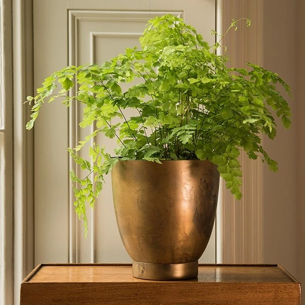 Tilting Pot - Brass - Image 2