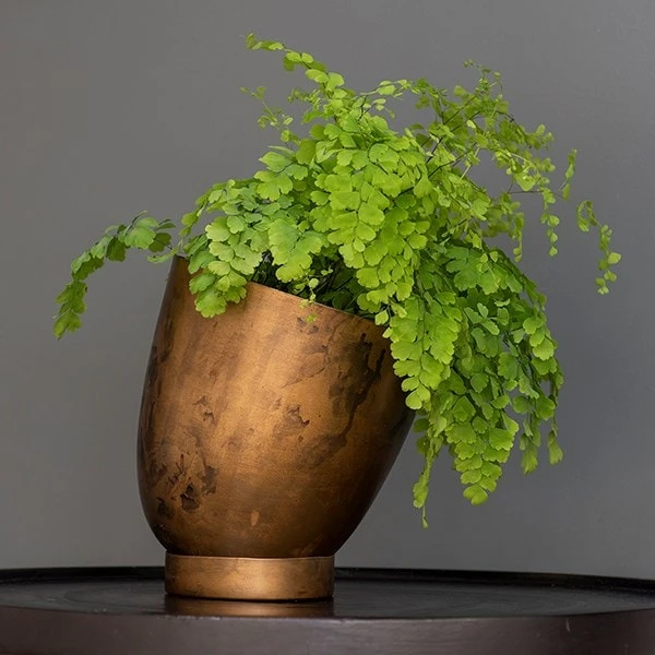 Tilting Pot - Brass - Image 4