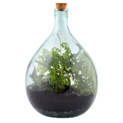 Plant Terrarium Bottle 15 Litre Set