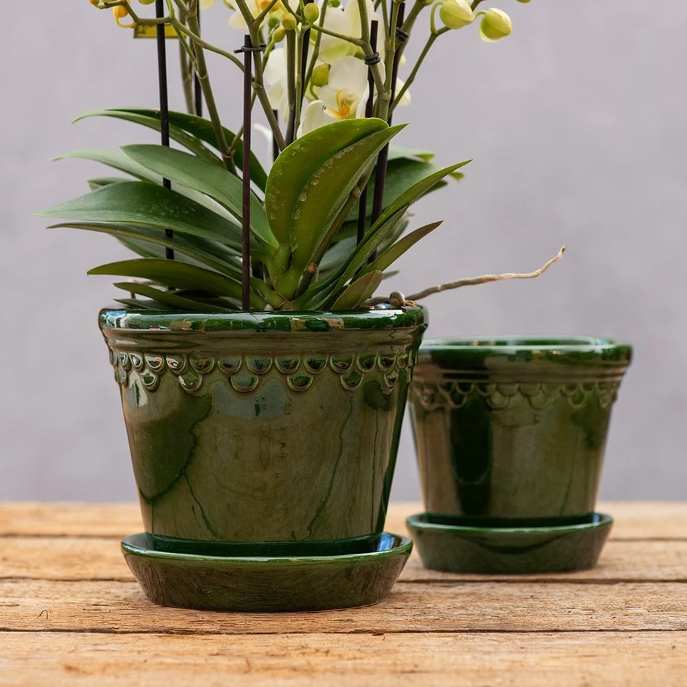 Scalloped Tapered Plant Pot With Saucer - Dark Green - Image 2