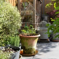 Terracotta Arc Pot & Tear Drop Plant Support