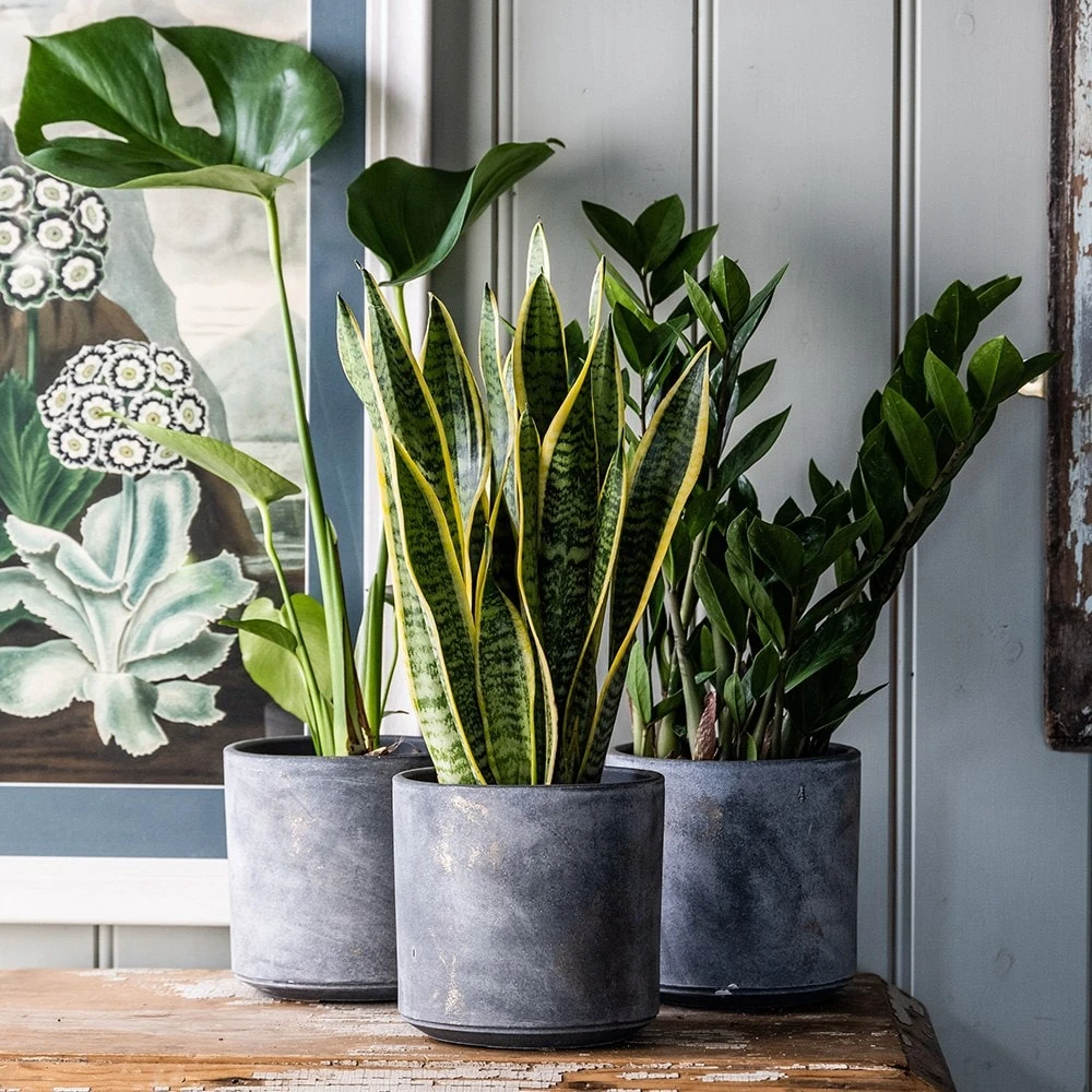 Ceramic Plant Pot - Charcoal - Image 2