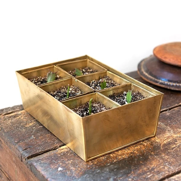 Brass Tray With 6 Brass Grow Pods - Image 2