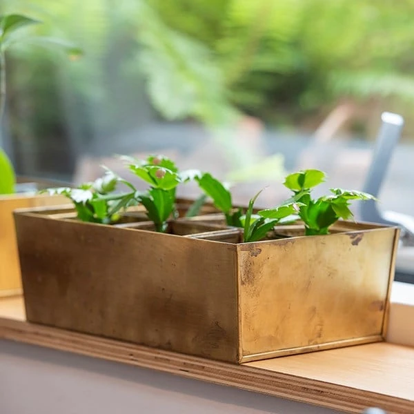 Brass Tray With 6 Brass Grow Pods - Image 4