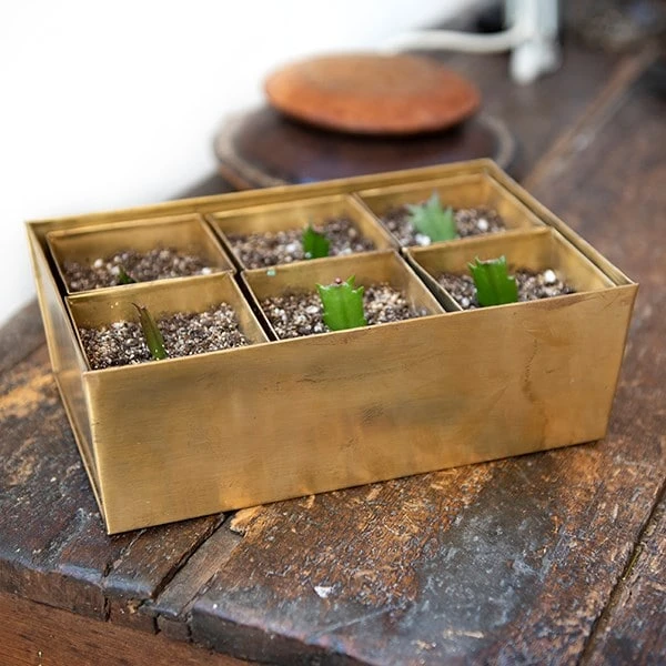 Brass Tray With 6 Brass Grow Pods - Image 7