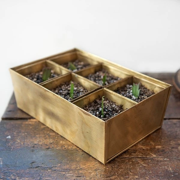 Brass Tray With 6 Brass Grow Pods - Image 8