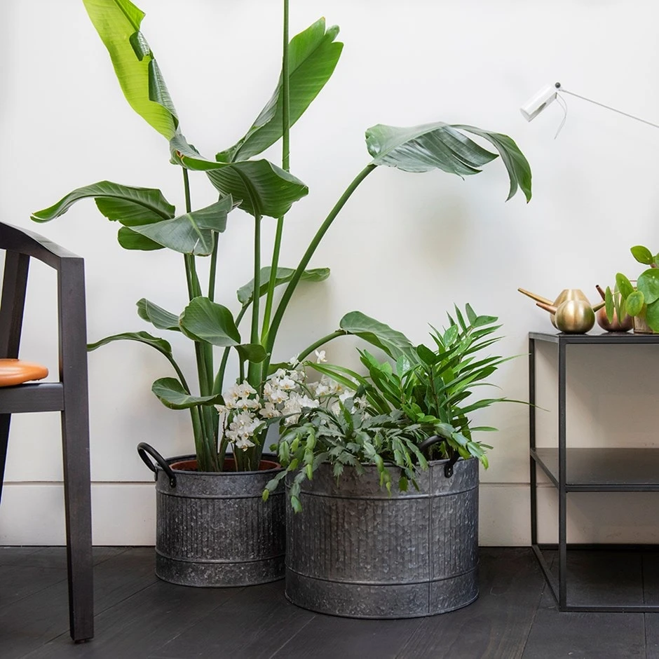 Round Troughs With Blackened Handles - Set Of 2