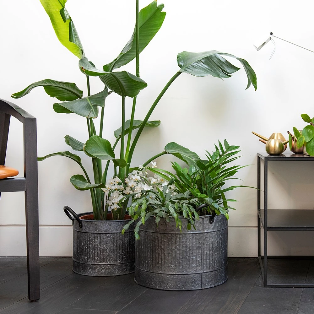 Round Troughs With Blackened Handles - Set Of 2 - Image 4