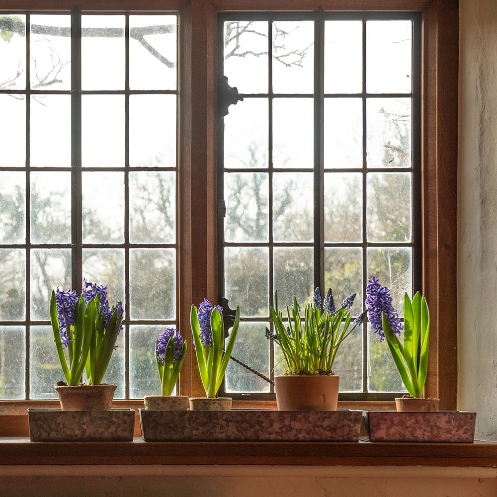 Grow Trays Landscape - Set Of 3 - Image 2