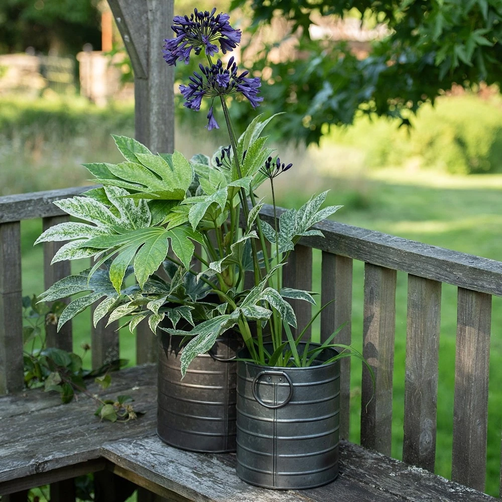 Galvanised Cylinder Pot - Image 3