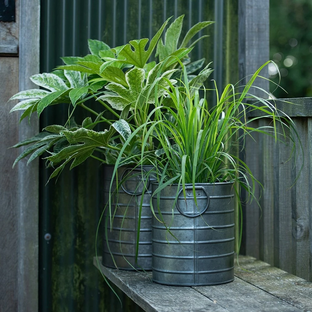Galvanised Cylinder Pot - Image 4