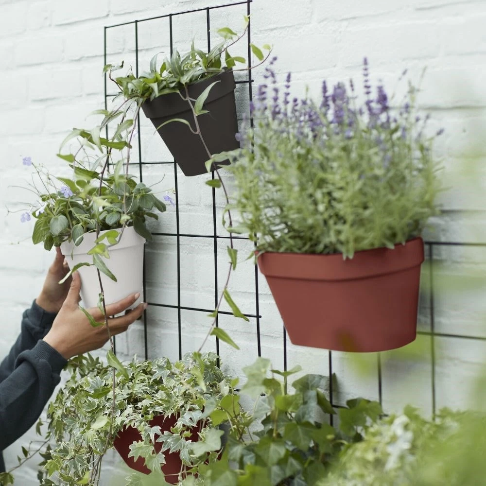 Loft Urban Green Wall Rack Black - Image 2