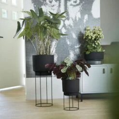 Matt Black Planter With Stand