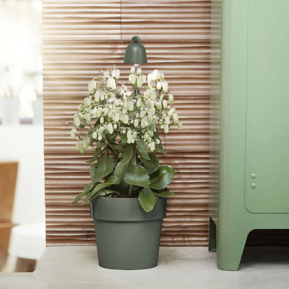 Leaf Grow Light - Image 2