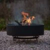 Fire Pit With Free Standing Cooking Grill - Stainless Steel Base
