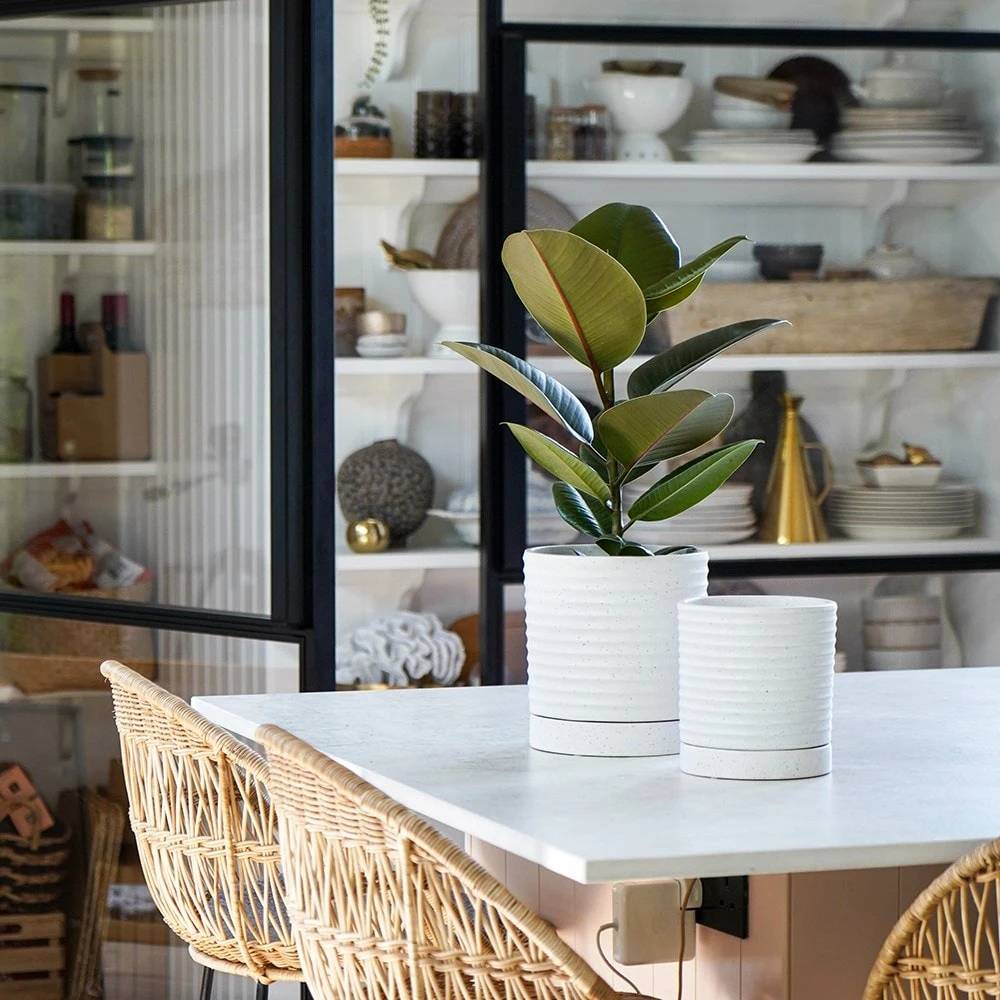 Stoneware Plant Pot & Saucer - White - Image 2