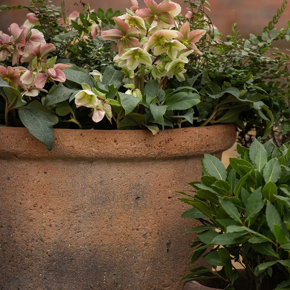 Terracotta Pot - Sandblasted - Image 2