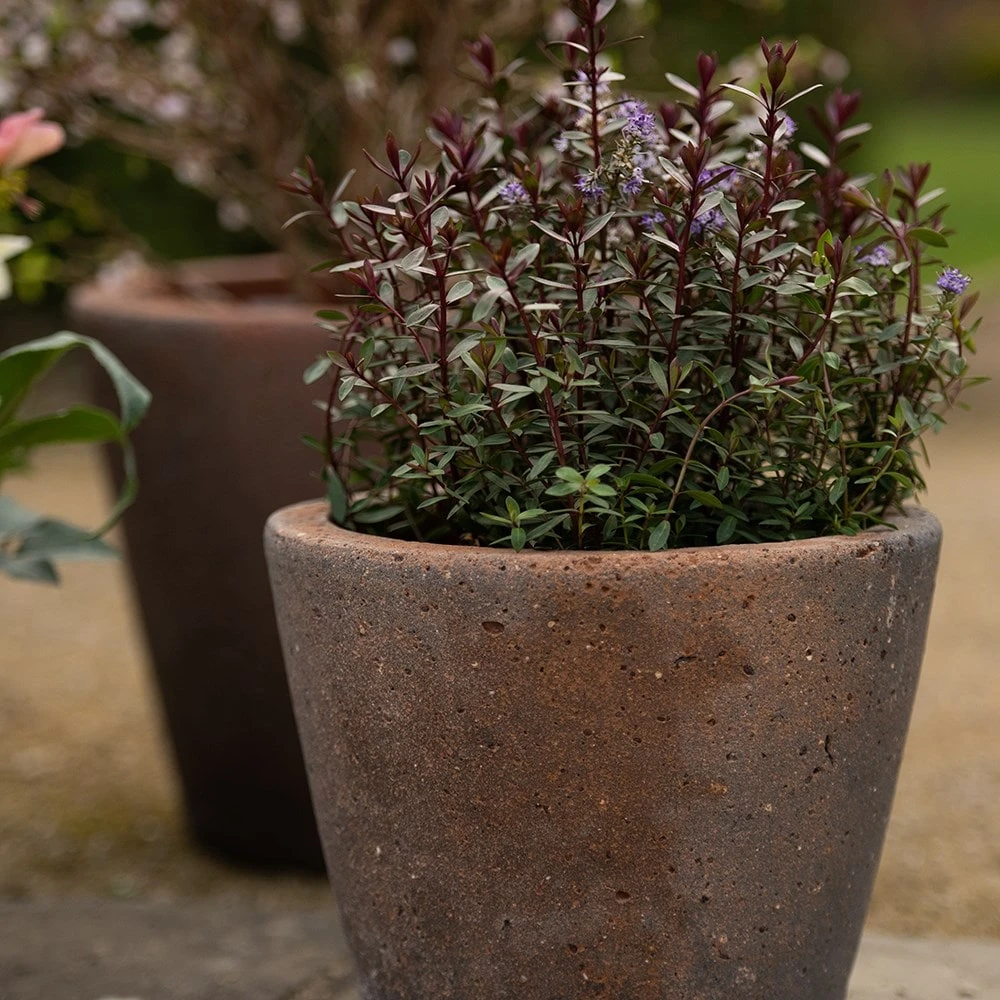 Tapered Terracotta Pot - Sandblasted - Image 3