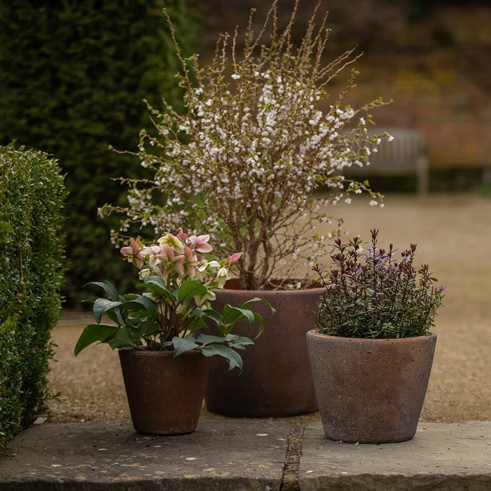 Tapered Terracotta Pot - Sandblasted - Image 4