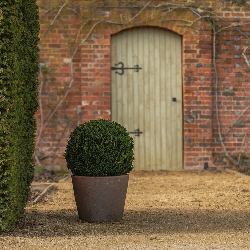 Tapered Terracotta Pot - Sandblasted - Image 6